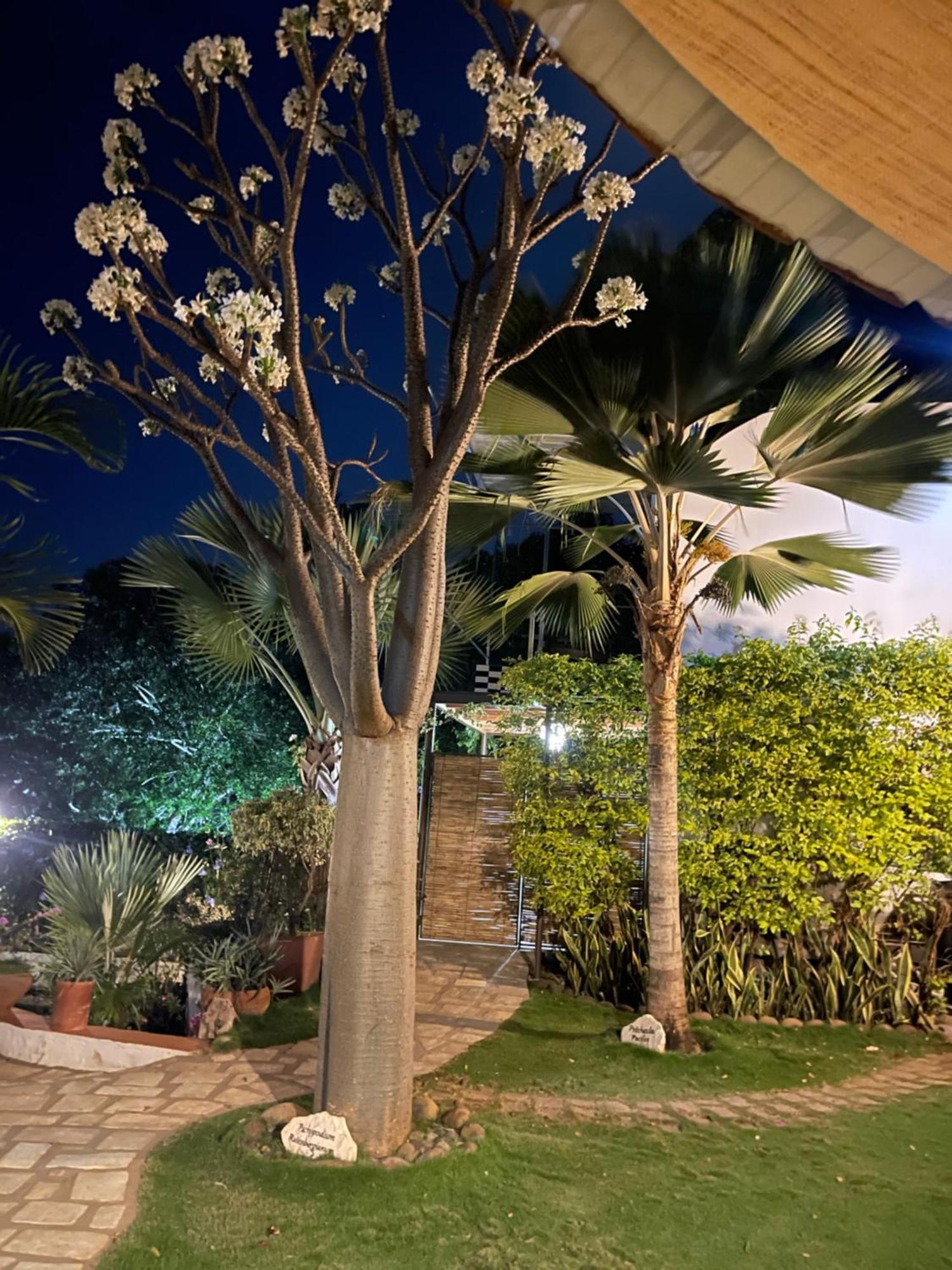 Le Jardin Exotique Hotel Antsiranana المظهر الخارجي الصورة