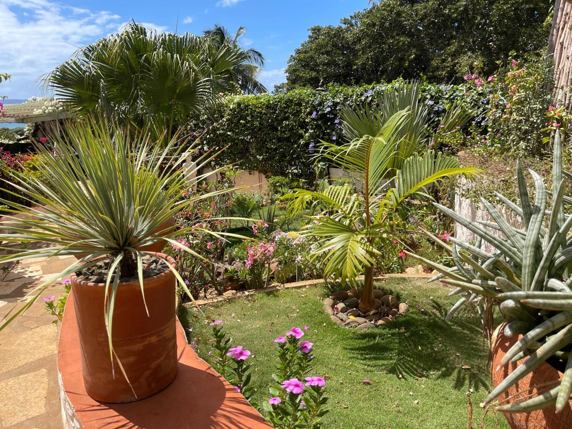 Le Jardin Exotique Hotel Antsiranana المظهر الخارجي الصورة