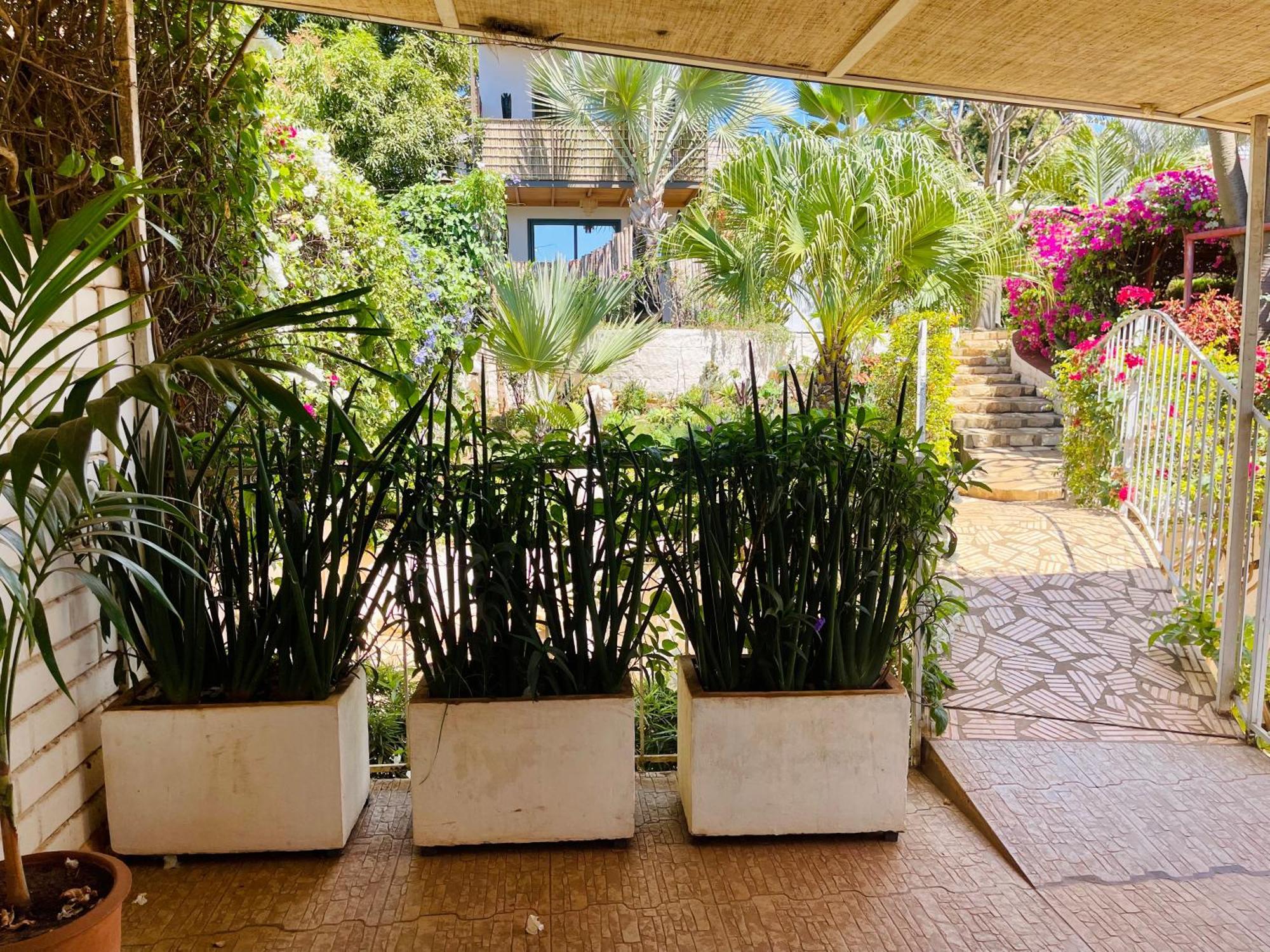 Le Jardin Exotique Hotel Antsiranana المظهر الخارجي الصورة