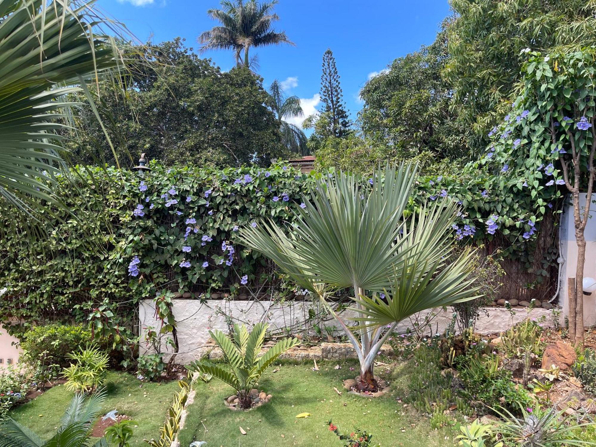 Le Jardin Exotique Hotel Antsiranana المظهر الخارجي الصورة